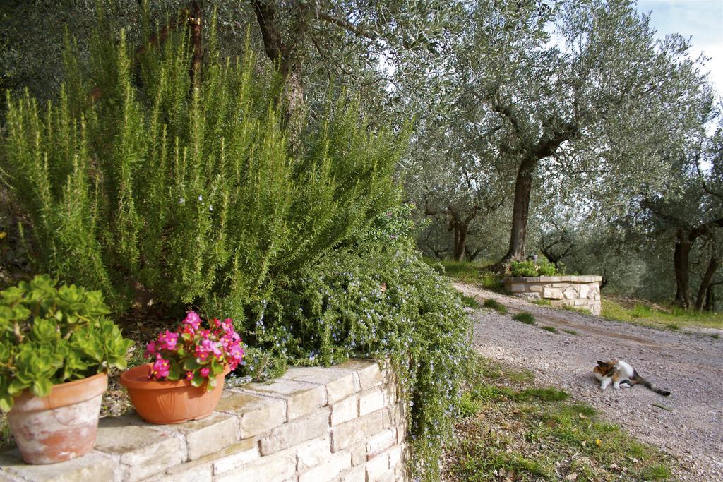 B&B Lavanda E Rosmarino Assisi Luaran gambar