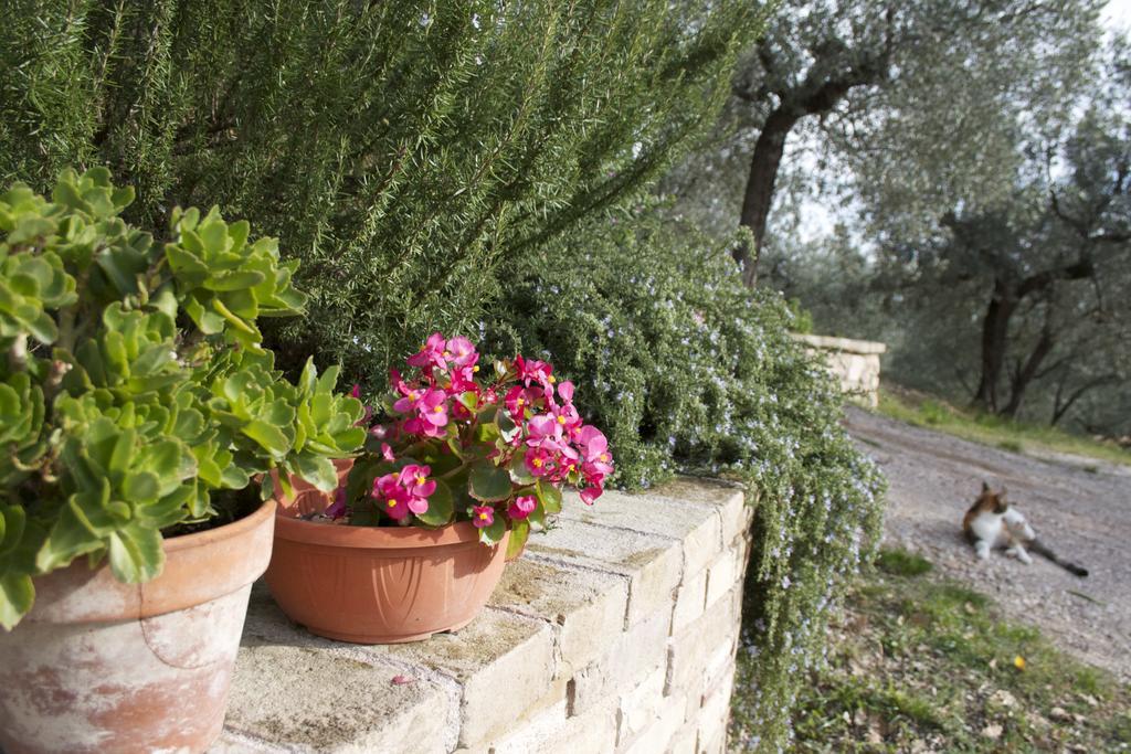 B&B Lavanda E Rosmarino Assisi Luaran gambar