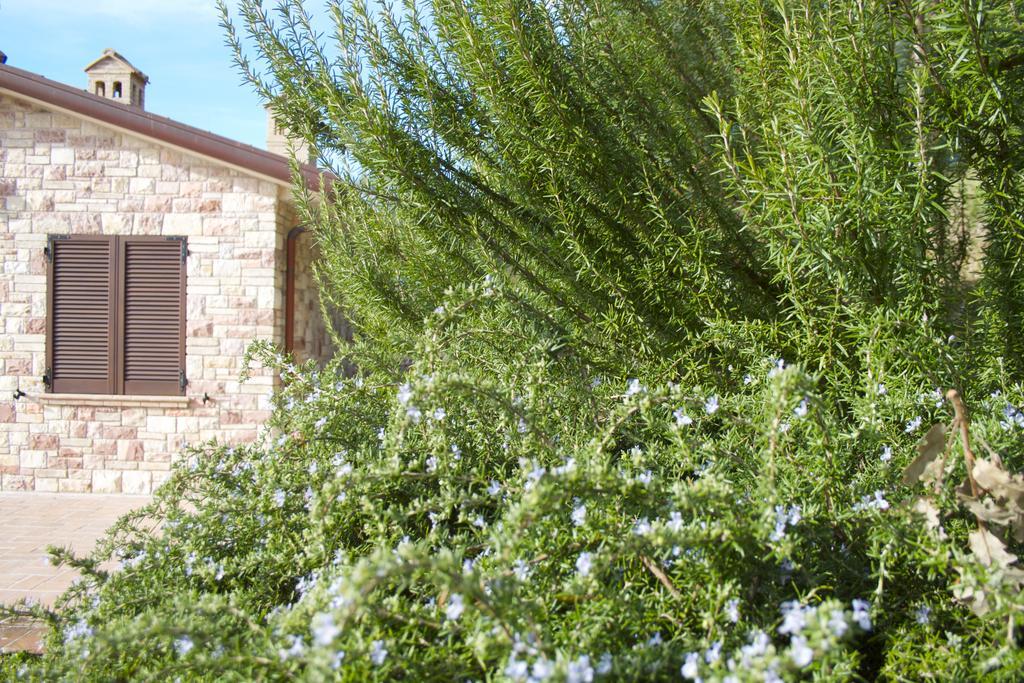 B&B Lavanda E Rosmarino Assisi Luaran gambar
