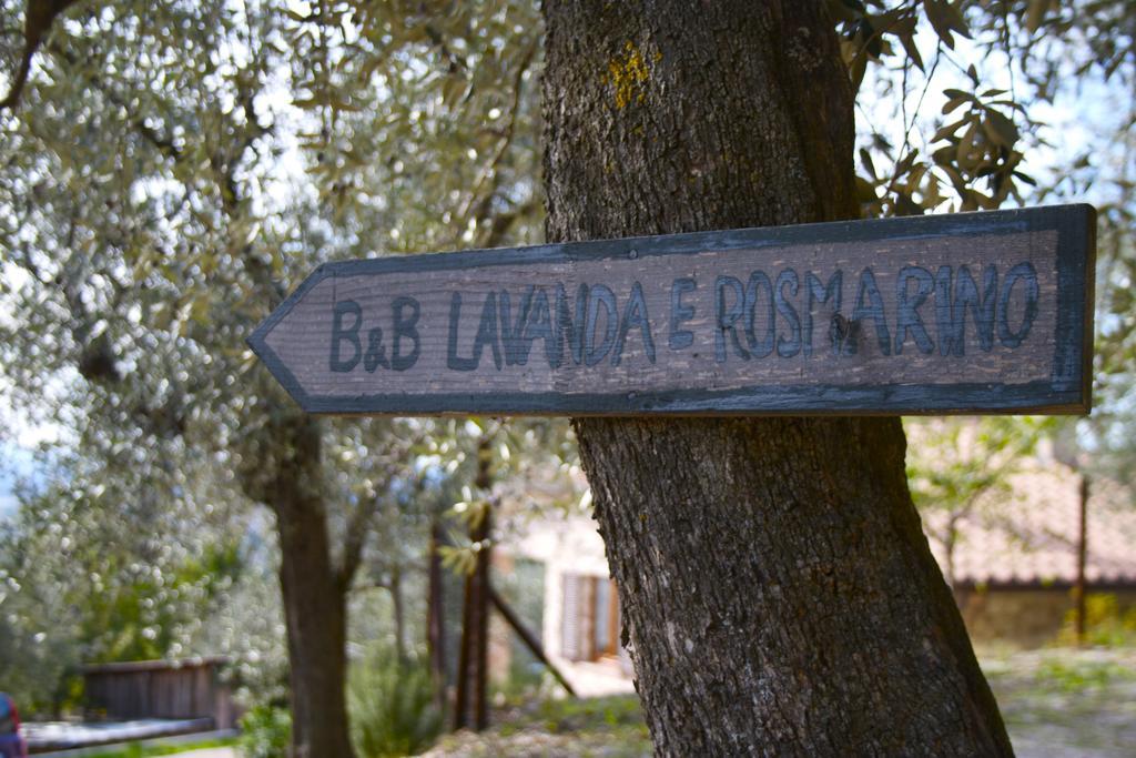 B&B Lavanda E Rosmarino Assisi Luaran gambar