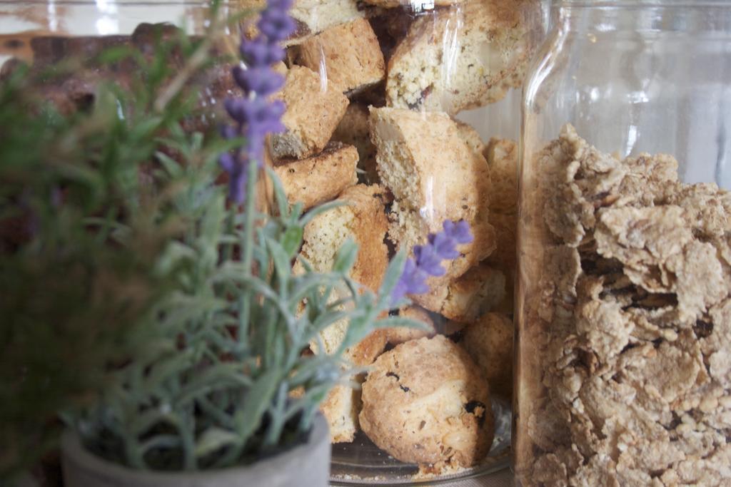 B&B Lavanda E Rosmarino Assisi Luaran gambar