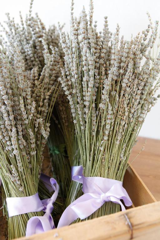 B&B Lavanda E Rosmarino Assisi Luaran gambar