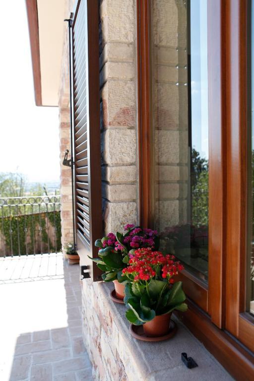 B&B Lavanda E Rosmarino Assisi Luaran gambar