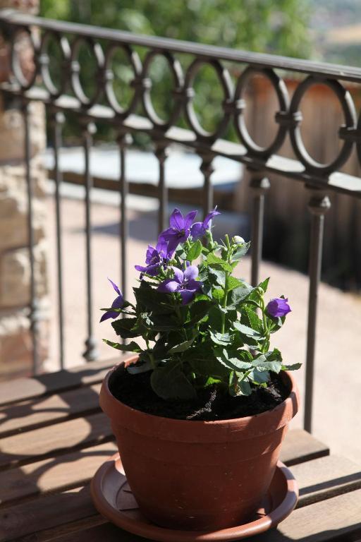 B&B Lavanda E Rosmarino Assisi Luaran gambar