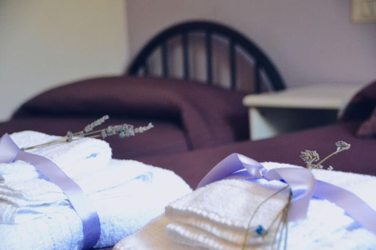 B&B Lavanda E Rosmarino Assisi Luaran gambar