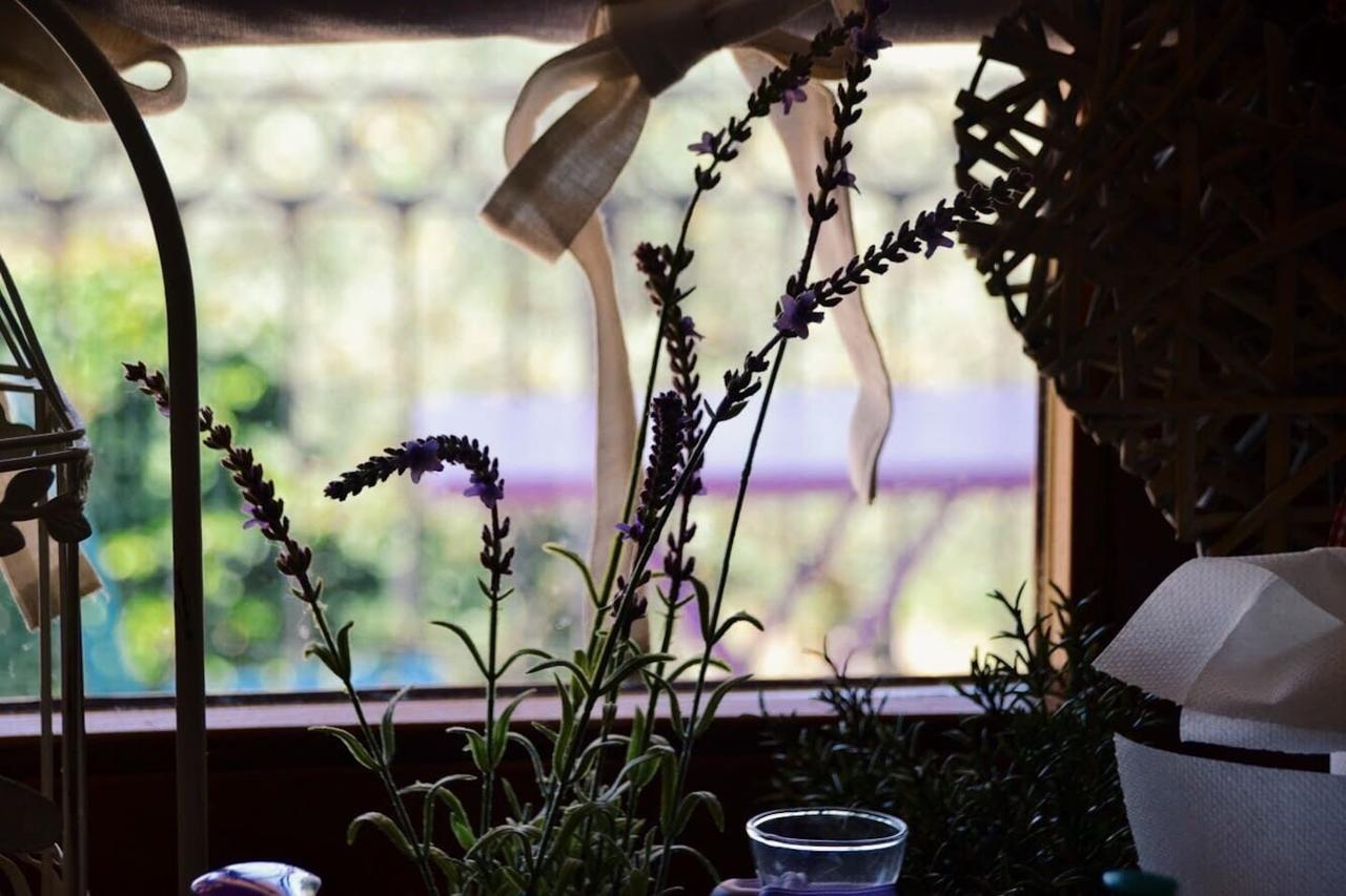 B&B Lavanda E Rosmarino Assisi Luaran gambar